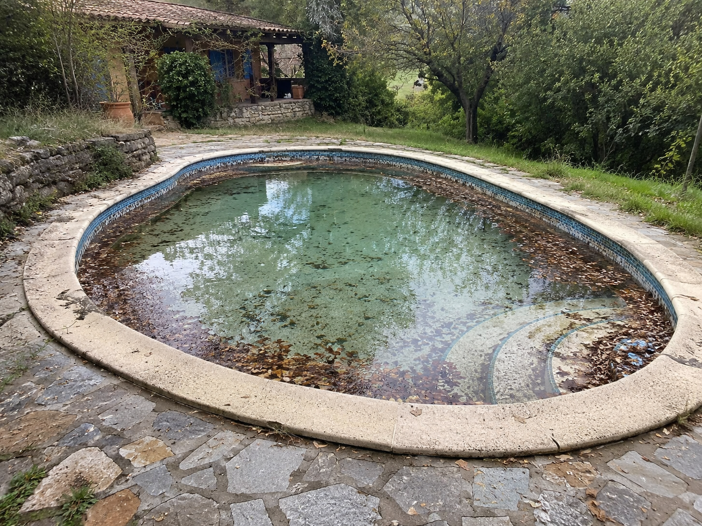 Piscina con agua estancada o en necesidad de mantenimiento