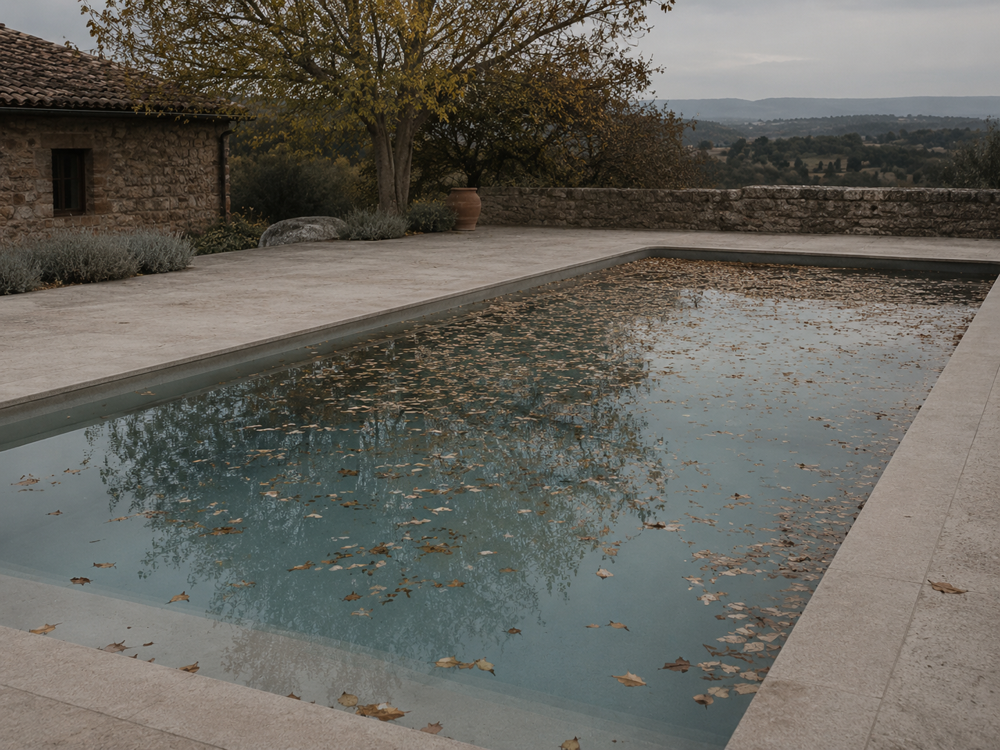 Acumulación de hojas y materia orgánica en la piscina